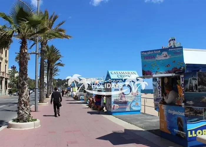 Costa Brava Holidays Mimosa Sea View And Luxe Willa