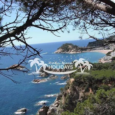 别墅 Costa Brava Holidays Mimosa Sea View And Luxe